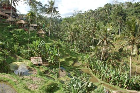 Cosa Vedere A Bali In Giorni Tutto Ci Che Non Dovete Perdere