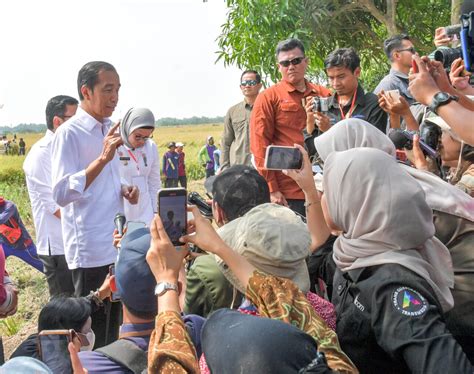 FOTO Panen Raya Di Indramayu Presiden Pastikan Produksi Padi Baik