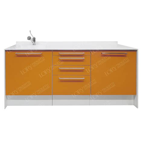 Veterinary Clinic Cabinet MO040 Lory Progetti Veterinari Srl With