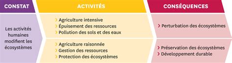 Les Activit S Humaines Et Les Cosyst Mes Locaux Lelivrescolaire Fr