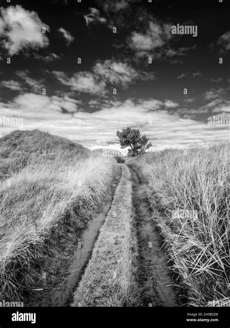 Fife Coastal Path Stock Photo - Alamy