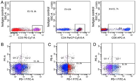 Representative Staining Patterns Of Pd On Peripheral Blood T Cell