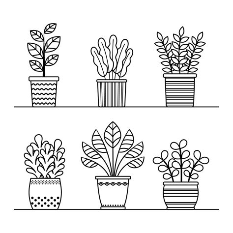 Plantas De Contorno Vectorial En La Colecci N De Macetas Flores