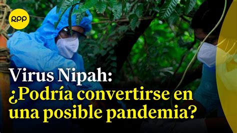 Espacio vital Qué se sabe del virus Nipah que está causando un