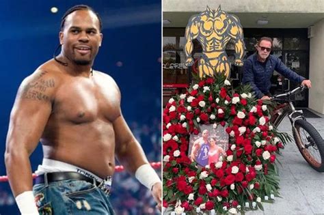 Arnold Schwarzenegger Tried Every Sex Act With Brigitte Nielsen In Steamy Affair Daily Star