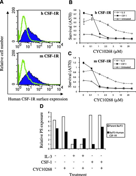 Cyc10268 Inhibits Csf 1r Mediated Survival In Ba F3 Cells A Ectopic Download Scientific