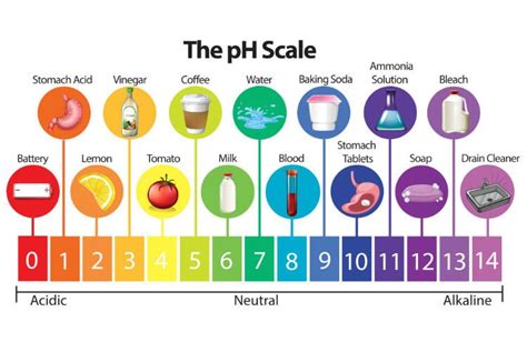 What Causes PH Imbalance 5 Ways To Achieve PH Balance Acid Base