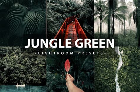 Stunning Green Lightroom Presets For Nature Photography