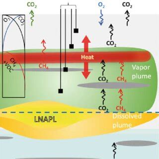 Hypothetical Soil Gas Concentration Profiles And Biogenic Heat At