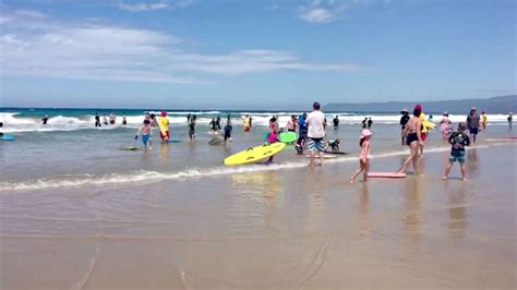 Shark Sightings Force Closure Of St Kilda Elwood And Fairhaven Beaches