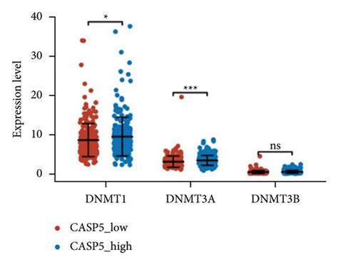 Methylation Analysis Of CASP5 In LGG A Correlation Between The