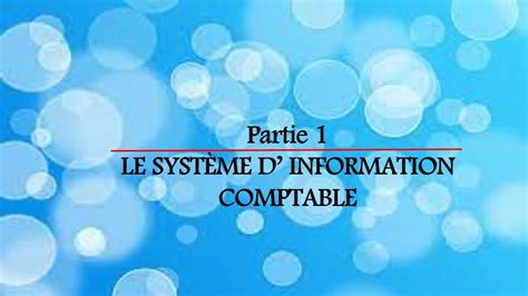 Syst Me D Information Comptable Partie Comptabilit De Gestion Et