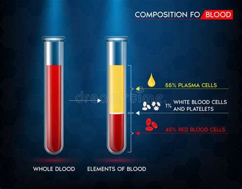 Elements Of Blood Red Blood Cell Plasma White Blood And Platelets In