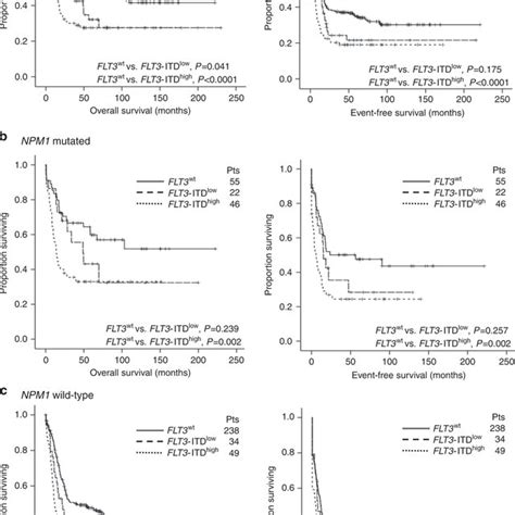 KaplanMeier Survival Curves For OS And EFS Stratified By The FLT3 ITD