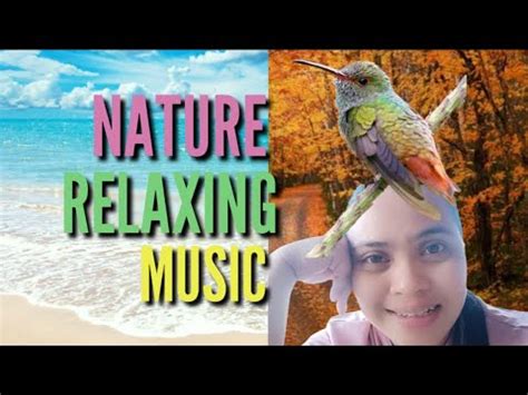 Nature Sounds Forest Sounds Birds Singing Sound Of Water Relaxation