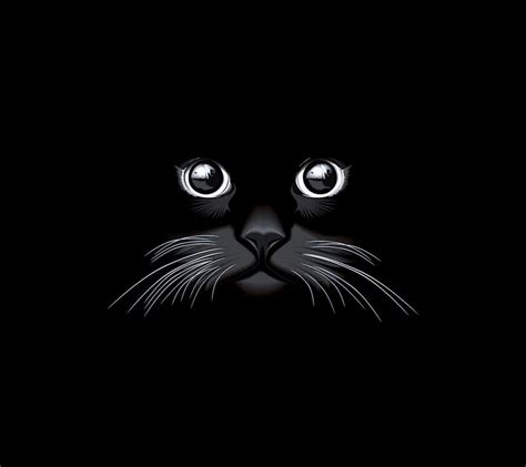 Black Cat Cartoon Wallpapers - Top Free Black Cat Cartoon Backgrounds ...