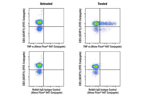 Human T Cell Th1 Cytokine Response Flow Cytometry Panel Cell