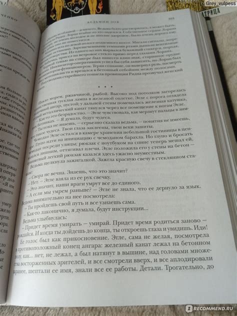 Ведьмин век. Марина И Сергей Дяченко - «"На каждую ведьму найдется свой ...