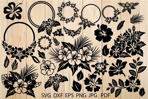 Hibiscus Bundle Svg Flower Svg Leaves Svg Hawaiian Flower