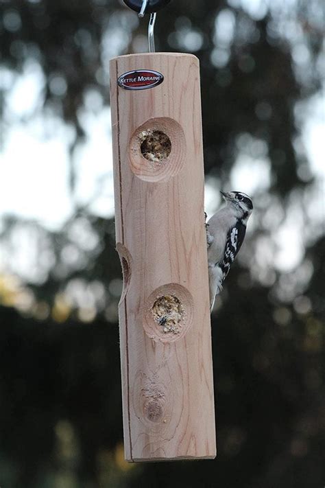 The Best Suet Feeders for Winter Birds - Birds and Blooms