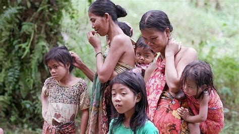 Masyarakat Adat Besipae Di Ntt Yang Digusur Dari Hutan Adat Pubabu