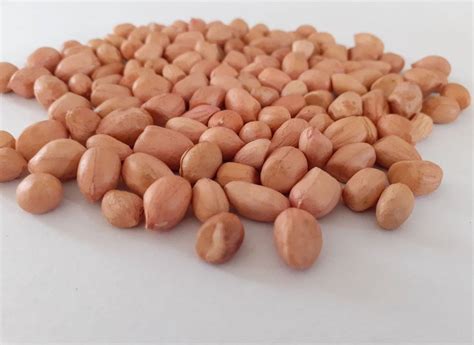 Groundnut Peanut Seed Packaging Type Vacuum Bag Packaging Size