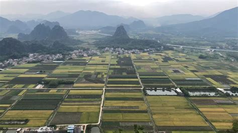 阳江十大旅游特色村名单！快来看看有你条村吗 乡村