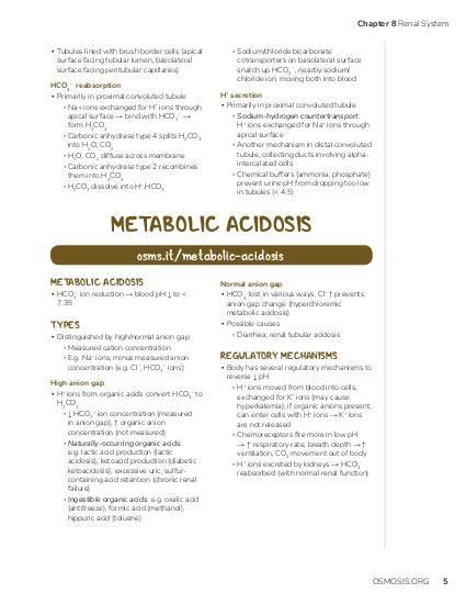 Metabolic Acidosis Osmosis