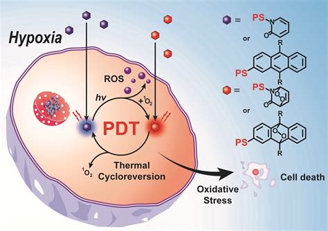 Endoperoxides Compounds For Highly Efficient Cancer Treatment Under