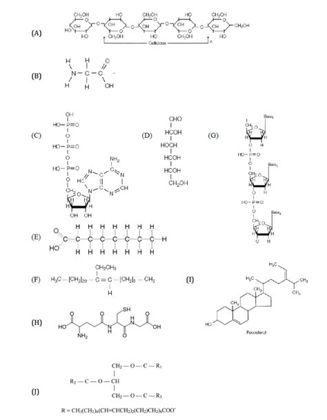 Solved Name the following biomolecules and explain why. | Chegg.com