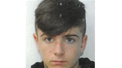 Gardai Appeal For Help Tracing Missing Teen Meath Chronicle