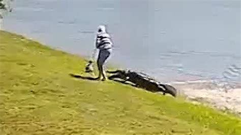 New Video Shows Fatal Florida Alligator Attack, Frantic 911 Audio Released