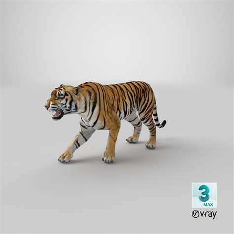 3D model tiger roar - TurboSquid 1271764