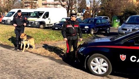 Spaccio nei parchi blitz dei carabinieri con le unità cinofile