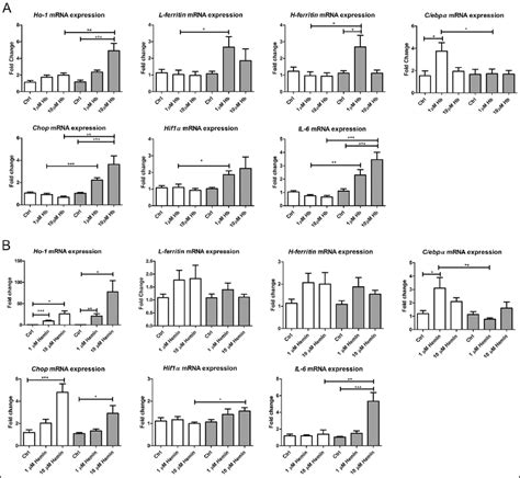 Cellular Stress In Hepcidin Silenced Cells Incubated With Hb Or Hemin