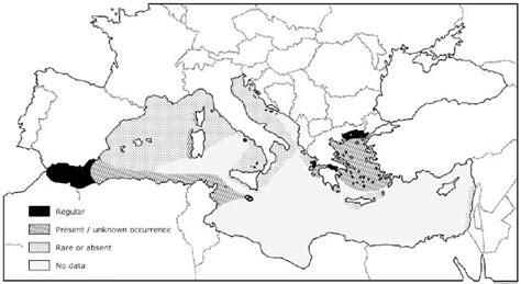 [PDF] Ecology, status and conservation of short-beaked common dolphins Delphinus delphis in the ...