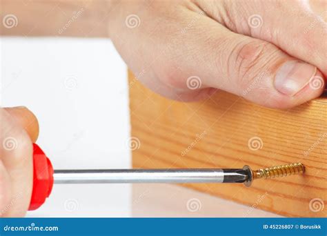 Tightening Screws In A Wooden Block With A Screwdriver Close Up Stock