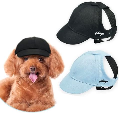 Cómo hacer una gorra para perros Rápido y fácil