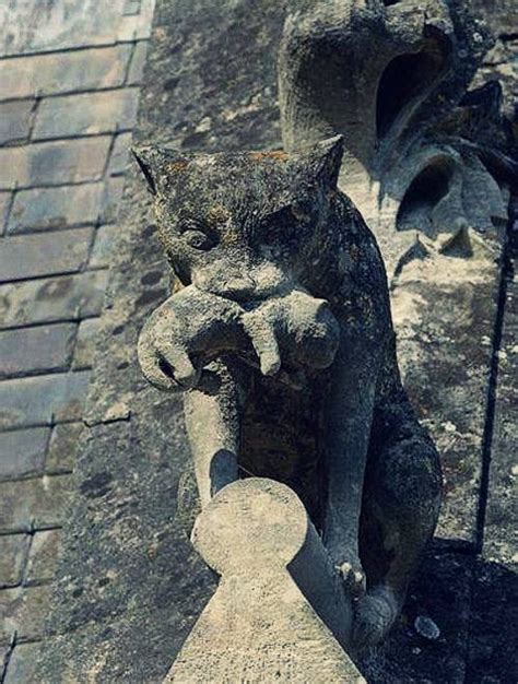 Historia Y Arqueolog A On Twitter Gato Con Un Gatito Gargoyle