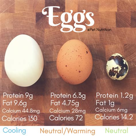 Nutrients And Benefits Of Raw Eggs For Dogs And Cats Eggs For Dogs