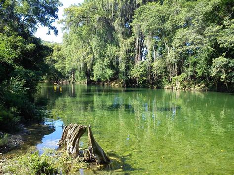 R O Sabinas Reserva De La Biosfera El Cielo