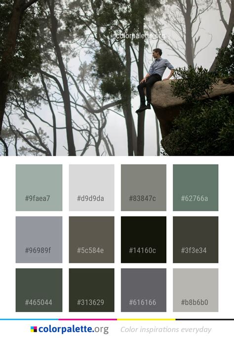 Tree Plant Woody Color Palette