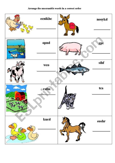 Unscramble The Letters Of The Animals Names Esl Worksheet 59 Off