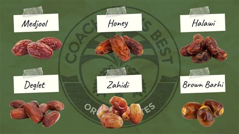 Different Types Of Dates From Coachellas Best Coachellas Best