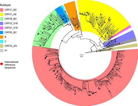 Hiv Subtypes And Molecular Transmission Characteristics Among Elderly