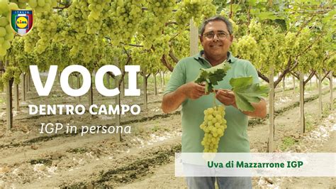 VOCI DENTRO CAMPO Uva Di Mazzarrone IGP Lidl Italia YouTube