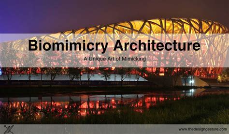 Biomimicry Architecture: A Unique Art Of Mimicking | The Design Gesture