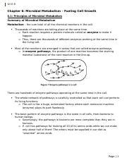 Unit Docx Unit Chapter Microbial Metabolism Fueling Cell