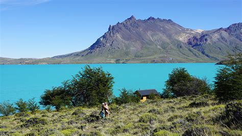 Parque Nacional Perito Moreno Un área Protegida Poco Y Visitada Que Luce Su Flora Y Fauna