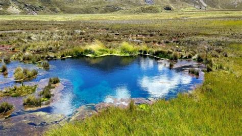 Huaraz Nevado Pastoruri Bosque De Puyas Raymondi GetYourGuide